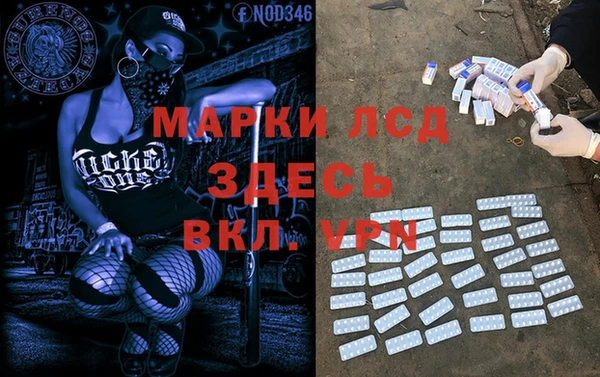 a pvp Магас