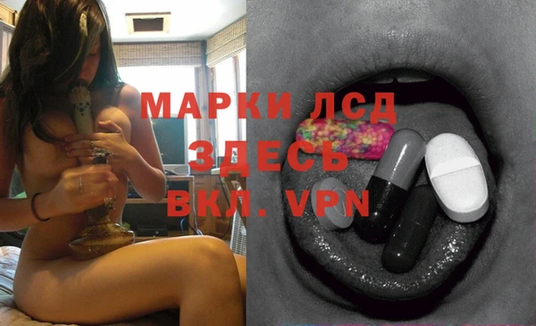 a pvp Магас