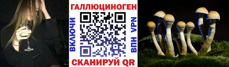 Псилоцибиновые грибы Psilocybe  omg зеркало  Медвежьегорск 